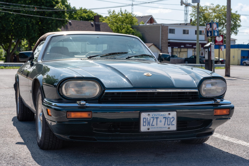 Illustration for article titled Pics from the Curbside: 2019-08-10